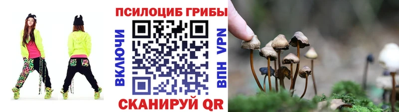 Купить где  Менделеевск  Псилоцибиновые грибы мухоморы 